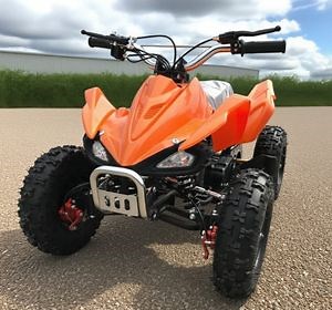 [Hot Item] High Performance Offroad Mini Four-Wheeler Quads 49cc 50cc ATV for Kids
