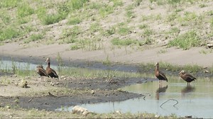  Read SFWMD staff updates on weather, water, and other ecological conditions from across South Florida in the latest Weekly Environmental Conditions Report. Visit SFWMD.link/4dNLWTc to read the latest update. | South Florida Water Management District | Facebook