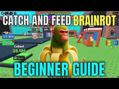 CATCH AND FEED A BRAINROT BEGINNER GUIDE! (Money, Food, Brainrots) - Roblox