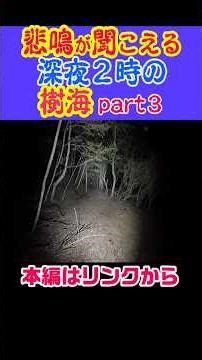 [Mysterious screams can be heard] Forest in the middle of the night #explanation #history #trivia