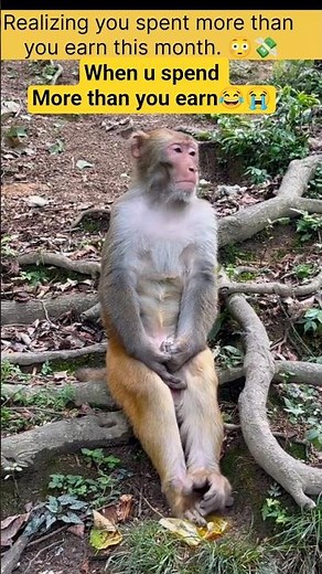 That "Spent More Than You Earn" Feeling😭🫣 #wildlifeentertainment #viral #ecomoment