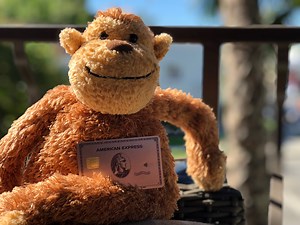 Earn 10k to 20k Membership Rewards by adding authorized users to your Amex Platinum   Gold - Monkey Miles