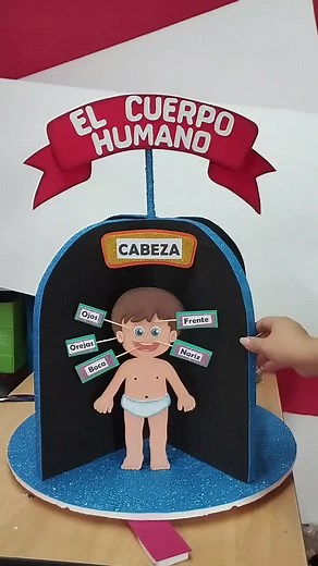 MAQUETA EL CUERPO HUMANO #maqueta #tareasescolares #creaciones #manualidades #capcut #creatividad