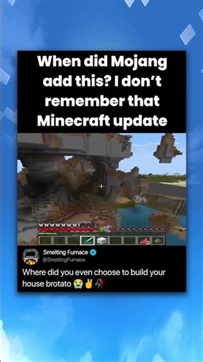 When did Mojang add this? I don't remember that Minecraft update