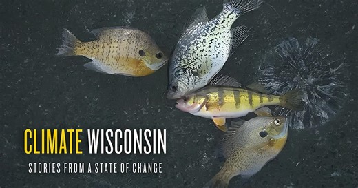 Climate Wisconsin:Ice Fishing
