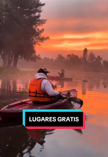 Descubre los Beneficios de Yo Mobile