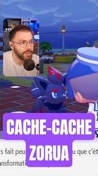 CACHE-CACHE ZORUA !