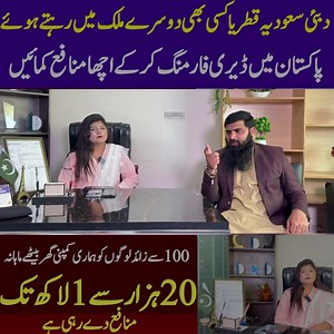 invest money in most profitable company every month arin 20 Hazar to 1 lakh | Sada Sohna Des Punjab