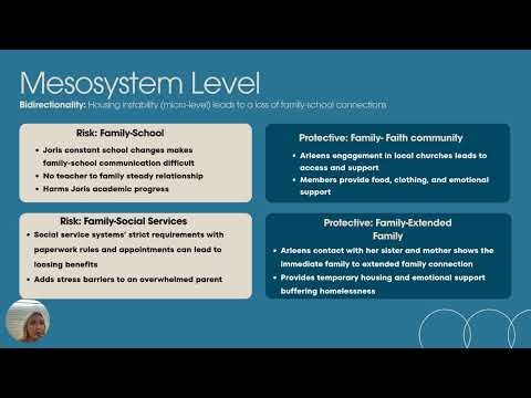 Ecological Model- Lily O