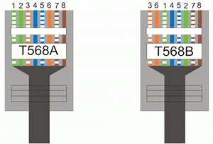 Conector Rj45 Cable Utp