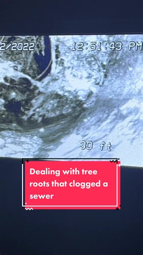Sewer Backup Cleaning and Tree Root Removal Process