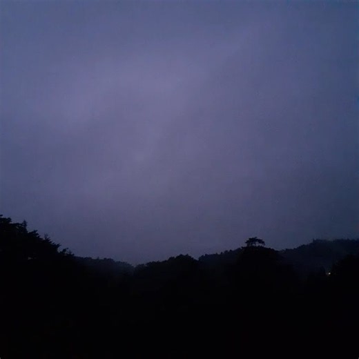 ひな鳥の朝｜2026/08/27（長尺の一部）Baby Birds Morning｜2026/08/27 (Excerpt from Full Video)