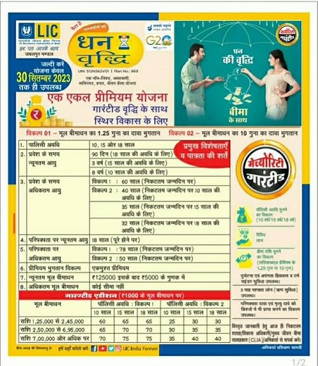 Lic 's Dhan वृद्धि प्लान 869