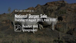 65 reactions · 35 shares | The National Dorper Sale will take place...