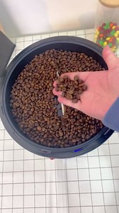 Electric Coffee Bean Roaster Machine for Home Use, 110V Coffee Roaster with Adjustable Temperature & Timer, 1.1LB Capacity, Automatic Cooling Smoke Control for Home Baristas, Small Batch Roasting