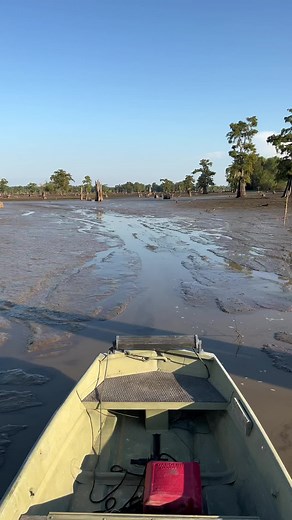 Exciting Mud Boat Adventures in Louisiana