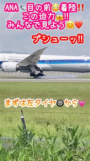 🟢【ANA】目の前着陸🛬😳‼️迫力とケムリ🛞💨をみんなで見よう🤗🩷#飛行機 #航空機 #全日空 #ana #airport #airplane #aircraft #shorts
