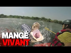 L'Attaque De Crocodile la plus BRUTALE De L'Histoire!