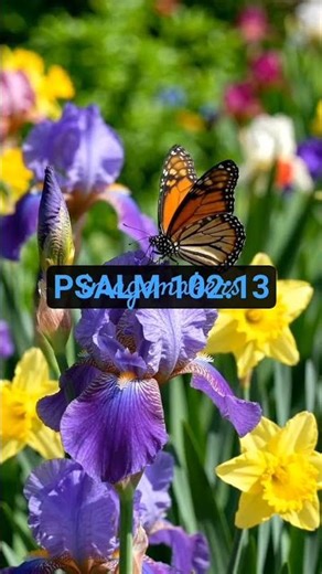 Your set time to be favoured has come. #bibleverse #walkinspiritoftheholyspirit #bibleinoneyear