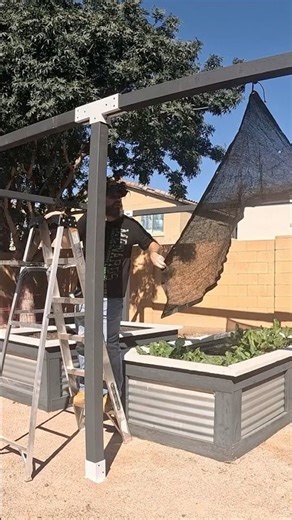Sun Shade Build for the Garden
