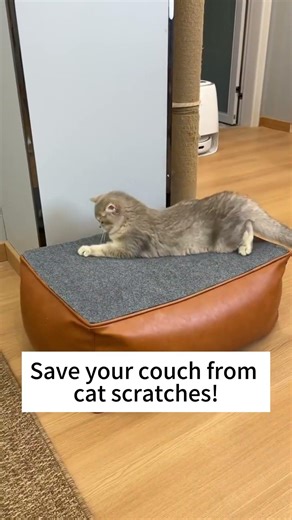 Keep Your Sofa Safe from Sharp Cat Claws #cat