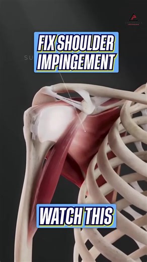 💥 Fix Your Shoulder Impingement Mobility the Right Way 💥 ❌ Struggling with shoulder impingement or poor mobility? You’re likely missing key internal rotation control and scapular mechanics — not just flexibility. If the cuff and scapula aren’t working together, you’ll keep grinding through pain and losing range. 🔥 Why This Matters: 🔁 Poor subscap control = shoulder rolls forward under load 📉 Weak cuff = no stability at end range ⚠️ Impingement risk goes up with every rep 🛠️ Try These to Fi