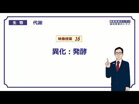 【高校生物】 代謝16 異化：発酵（１４分）