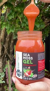 Find out why our customers are going CRAZY over our Sea Moss Gel! ⬇️ Our Seamoss gel is of the highest quality available ✅ Strengthens your immune system ✅ Never pool grown ❌ Contains 92 minerals for the human body ✅ 100% Vegan ✅ Sea moss is a wholefood source of minerals, containing 92 of the 102 trace minerals found in the body. Although you can get your trace minerals by eating a wide variety of foods, with a busy lifestyle this may not always be possible. Wild harvested from the crystal clea