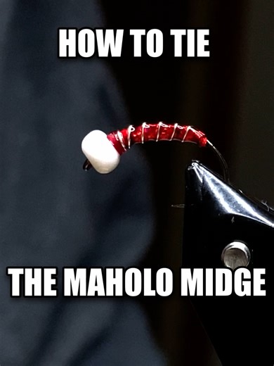 How To Tie The Maholo Midge.#flyfisherman #flytying #flyfishing #fishing #fishingtips #midwestfishing #fypシ #fyp #flytyingjunkie #fishingonvideogames #flytyingtutorial #flytyingnation #flytyingtiktok Materials Tungsten Beads - https://amzn.to/4rJLo8I Red Thread - https://amzn.to/40SeTsV Uv Resin - https://amzn.to/4bG3inv Hook size 12 - https://amzn.to/3NrLR08 Wire - https://amzn.to/4b5Koob Tinsel - https://amzn.to/4s0G3dq The Maholo Midge, created by Rob Anderson of Umpqua Feather Merchants, is 