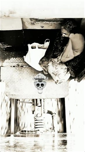 #trend #sigmarule #trollface #trending #shortvideo #aestheic