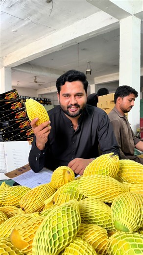 Export Quality Mango 🥭 Order: 923074583132 #mango | mango