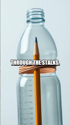 Kitchen Experiments That Reveal Real Science in Minutes