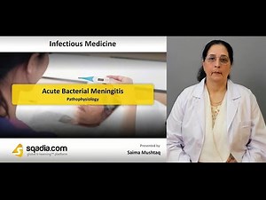 Acute Bacterial Meningitis | Pathophysiology