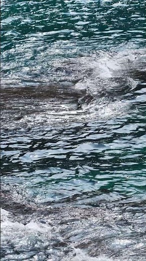 Free Stock Footage: Beautiful Summer Sea View | Shorts