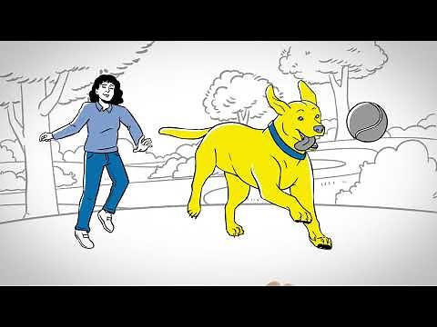 Tapeworm Education with Interceptor Plus