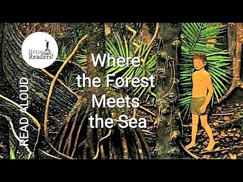 🌳'Where the Forest Meets the Sea' by Jeannie Baker |Read Aloud Picture Book by MJ@Hello Readers