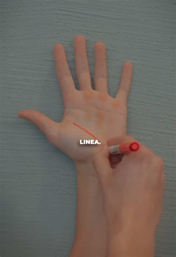 Come impugni il bilanciere nella panca piana? 👀 Un piccolo errore nelle mani può cambiare completamente come lavori e quanto sei stabile. Nel video ti mostriamo come impugnare correttamente il bilanciere. Perché spesso la differenza non è nel carico… ma nei dettagli. 👌 #benchpress #health #fyp #viral #trending @lorenzocassara22 @jacoporegeni