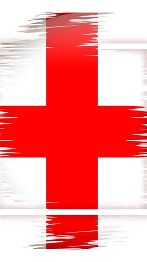 The Flag That Lost a Battle But Won the War!? #military #history