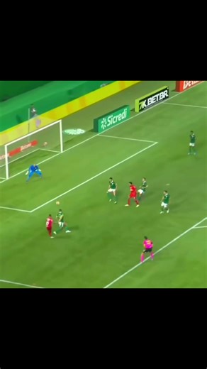 Saudades do nosso paredão do Palmeiras
