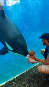 61M views · 1M reactions | Core memory created  | Furry Tails | Facebook