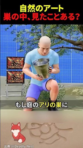 ㊗️400万回再生‼︎ アリの巣にセメントを流すと何が起きるのか