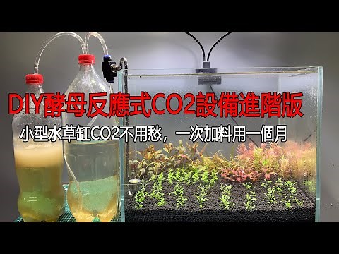 DIY CO2第二集，可控酵母反應式CO2設備進階版，小型水草缸CO2不用愁，一次加料使用一個月|EP2 DIY CO2, production of yeast reaction CO2