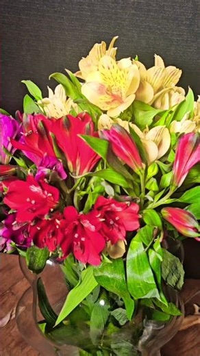 Relaxibg Bloom Time-lapse