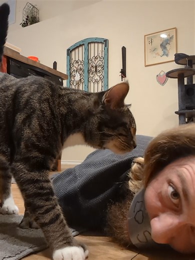 Adventures with Cats: Journey to the Train Station