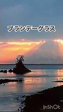 ブランデーグラス #石原裕次郎 #yuujirouishihara