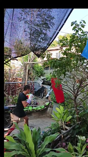 Master Boxing Punching Technique & Power