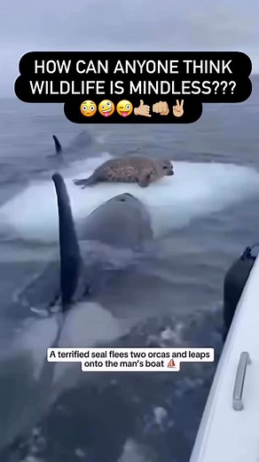 138K views · 5.6K reactions | PAGE IS MUCH MORE FUN WITH SOUND ON....