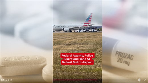 Bomb Threat Suspect Tells FBI Psychiatric Drugs Triggered In-⁠Flight Breakdown