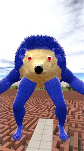 I MET THE MOST SCARY SONIC IN THE CITY #gmod