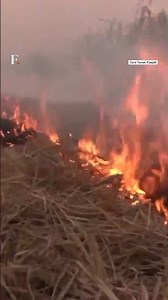 Stubble Burning in Punjab Amid Delhi Pollution Concerns | N18G